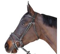 Bridons équitation plat doublé Canter Noir Cob