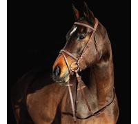 Bridons équitation pour cheval à muserolle combinée pour cheval matelassé Horze Constance Gris Poney