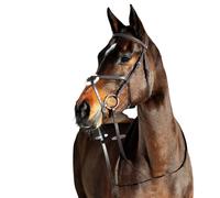 Bridons équitation pour cheval à muserolle pour cheval croisée Horze Prescott Marron Cob