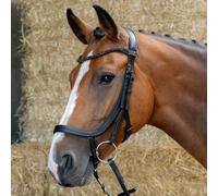 Bridons équitation pour cheval anatomique Harry's Horse Noir Cob