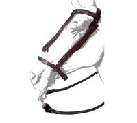 Bridons équitation pour cheval cuir Zaldi Ronda Marron TU