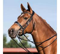 Bridons équitation pour cheval double rênes Acavallo Noir Cob