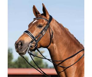 Bridons équitation pour cheval double rênes Acavallo Noir Cob