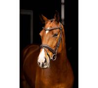 Bridons équitation pour cheval dressage LeMieux Marron Poney
