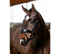 Bridons équitation pour cheval dressage LeMieux Noir Cob