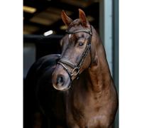 Bridons équitation pour cheval dressage LeMieux Noir Full