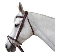 Bridons équitation pour cheval Flags&Cup Aachen Marron Full