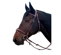 Bridons équitation pour cheval Flags&Cup New York Marron Poney
