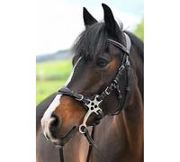 Bridons équitation pour cheval Jump'In One Premium Hackamore Noir Full