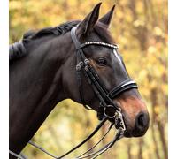 Bridons équitation pour cheval Kavalkade Selina Crank Nb Noir Full