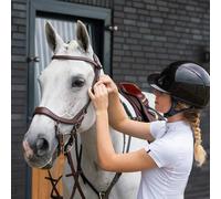 Bridons équitation Presteq Faysport Marron Poney