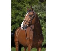 Bridons équitation Riding World Muserolle Marron Cheval