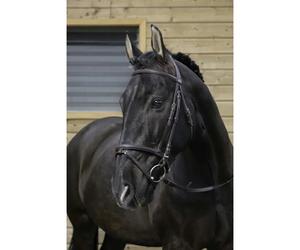 Bridons équitation Riding World Muserolle Noir Cheval