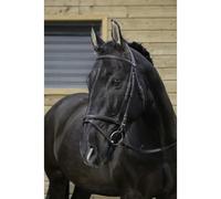 Bridons équitation Riding World Muserolle Noir Poney