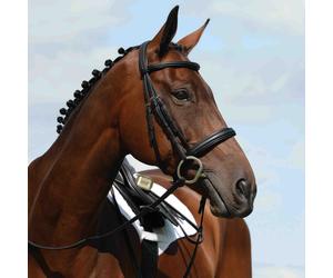 Bridons équitation surélevée cavesson Weatherbeeta Collegiate Syntovi Noir Demi-sang