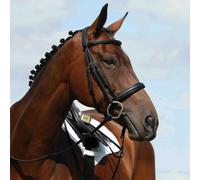 Bridons équitation surélevée cavesson Weatherbeeta Collegiate Syntovi Noir Full