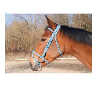 Bridons équitation T de T Biotack® Bleu Pur-sang
