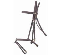 Bridons équitation T de T Biotack® Marron Cheval