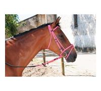 Bridons équitation T de T Biotack® Rose Pur-sang