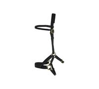 Bridons équitation T de T Sidepull Biotack® Noir Cheval