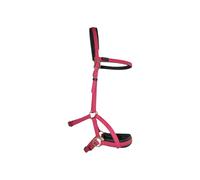 Bridons équitation T de T Sidepull Biotack® Violet Cheval