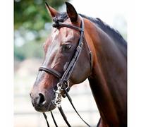 Bridons pour cheval mors et filet Tattini Noir Full