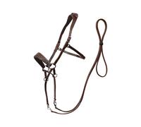 Bridons sans mors pour cheval Edix Saddles ED1-Rose Marron Cob