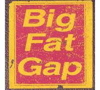 Brief History of Big Fat Gap [Import]