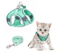 Brifit Harnais Chat, Harnais Petit Chien Laisse Anti Évasion, Harnais Chaton Réglable, Chat Refléchissant Gilet Respirant, Harnais et Laisse Sécurité, Harness Harnais pour Chats Puppy, Vert-XXS