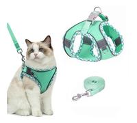 Brifit Harnais Chat, Petit Chien Laisse Anti Évasion, Harnais Chaton Réglable, Chats Refléchissant Gilet Respirant, Laisse pour Chat, Harness Arnet pour Chats Puppy, Chiot, Vert-XS