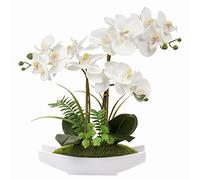 Briful Arrangement d’orchidées phalaenopsis artificielles en Plastique Soyeux dans Un Pot en céramique Blanc pour Maison, Bureau, décoration de Mariage