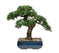 Briful Grand bonsaï artificiel - Podocarpus vert de 41 cm dans un pot en céramique - Plante artificielle facile d'entretien pour salon, bureau et décoration