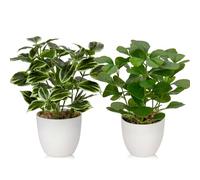 Briful Lot de 2 petites plantes artificielles d'intérieur en pot, plantes artificielles en pot, plantes artificielles pour bureau, ferme, maison, jardin, étagère