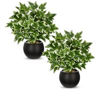 Briful Lot de 2 plantes artificielles en pot - Petites plantes artificielles décoratives - Plantes d'intérieur - Plantes de lierre en pot noir - Mini plante pour salon, bureau, étagère, table (30 cm)