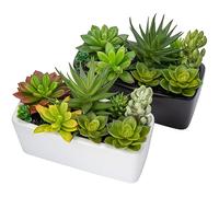 Briful Lot de 2 plantes succulentes artificielles dans un pot en céramique noire - Mélange de plantes grasses artificielles en pot pour bureau, maison, salle de bain - Décoration d'étagère