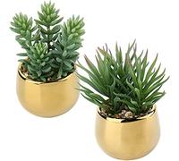 Briful Lot de 2 plantes succulentes artificielles - Décoration printanière - Fleurs artificielles dans un pot en céramique - Décoration pour salon, jardin, balcon, chambre à coucher, salle de bain