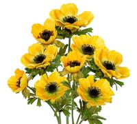 Briful Lot de 3 fleurs d'anémone artificielles avec 3 fleurs, 55 cm - Jaune - Pour décoration d'intérieur et de bureau