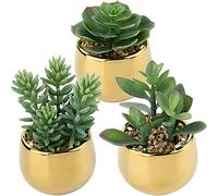 Briful Lot de 3 plantes succulentes artificielles - Décoration printanière - Plantes d'intérieur - Fleurs artificielles dans un pot en céramique - Décoration pour salon, jardin, balcon, chambre à