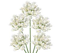 Briful Lot de 5 fleurs artificielles d'agapanthe en soie blanche pour décoration, 77 cm de haut, fleurs d'agapanthe artificielles pour décoration de maison et de cuisine