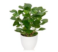 Briful Petites plantes artificielles en pot de 25 cm, trèfle à quatre feuilles, plantes artificielles d'intérieur en pot, plantes artificielles en pot pour ferme, maison, jardin, décoration de fête