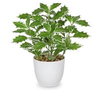Briful Petites plantes de houx artificielles d'intérieur en pot de 25 cm, feuilles de houx artificielles décoratives pour ferme, maison, jardin, décoration de fête