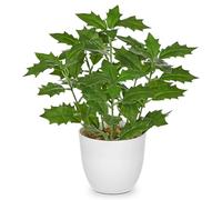 Briful Petites plantes de houx artificielles d'intérieur en pot de 25 cm, feuilles de houx artificielles décoratives pour ferme, maison, jardin, décoration de fête
