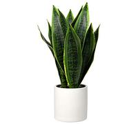 Briful Plante de Serpent Artificielle en Pot de 40,6 cm avec Pot en céramique Blanche, Parfaite pour la Maison, Le Salon, Le Bureau, Une Pendaison de crémaillère, décoration intérieure