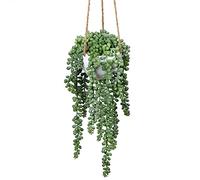 Briful Senecio Plantes artificielles suspendues - Plantes succulentes artificielles - Décoration murale - Hauteur : 35,5 cm - Dans un panier suspendu