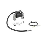Briggs and Stratton 591420 Armature magnétique