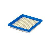 Briggs & Stratton 399877S Cartouche pour filtre à air