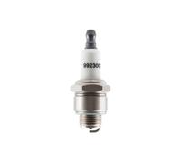 Briggs & Stratton 591868 Bougie d'allumage Remplace 799876