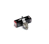 Briggs & Stratton 992300C bougie d'allumage