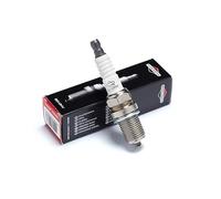 Bougie Briggs et Stratton 992304