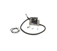 Briggs & Stratton Bobine d'allumage et Module